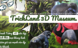 TrickLand 3D Museum ,thách thức mọi khung hình
