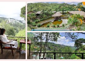 Thư giãn tại 8 homestay view rừng thông, thung lũng Đà Lạt