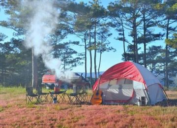 Tour Camping Đồi Cỏ Hồng – Đà Lạt