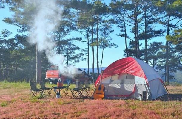 Tour Camping Đồi Cỏ Hồng – Đà Lạt