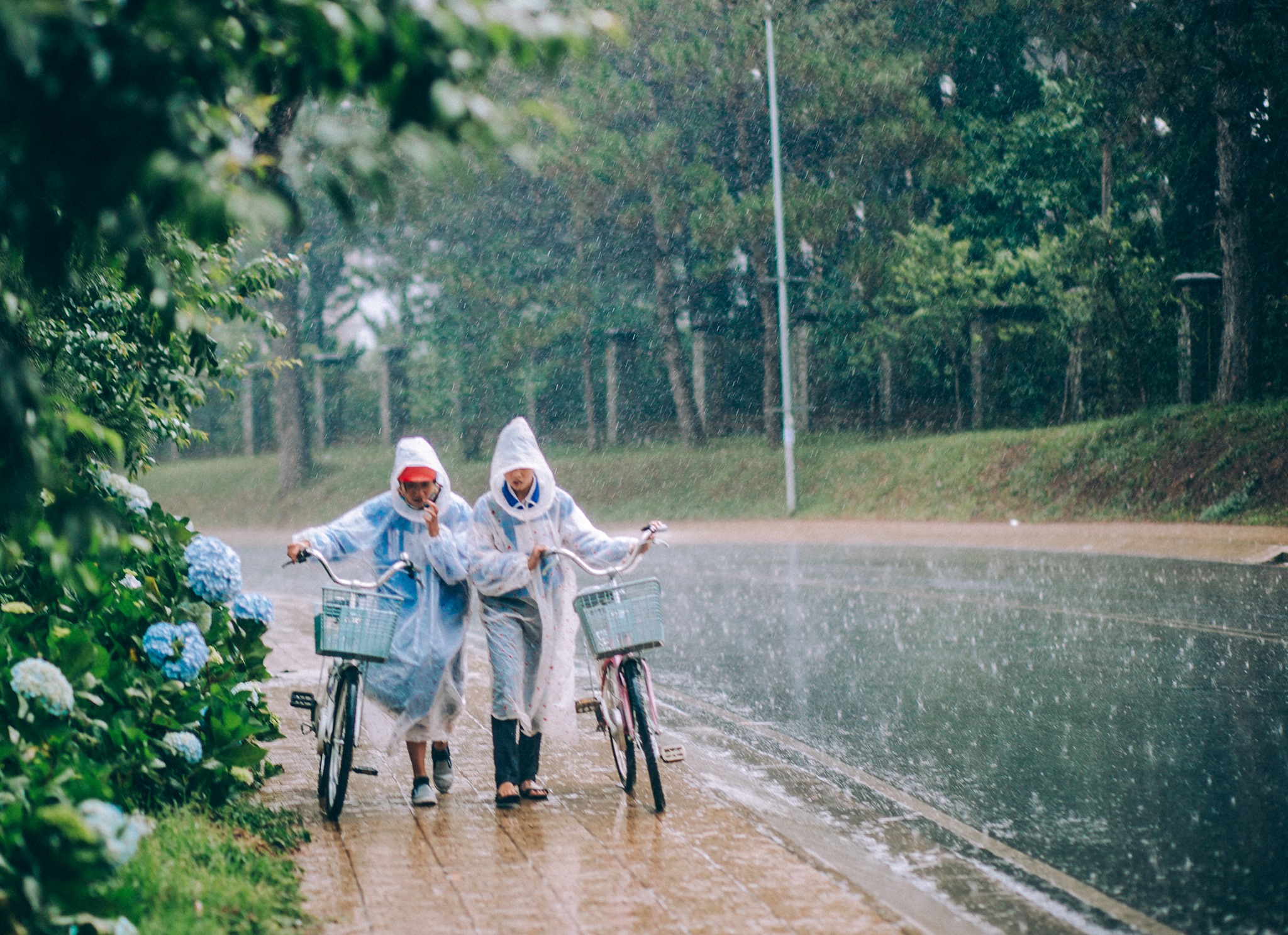 Ngày mưa Đà Lạt nên làm gì? Gợi ý các hoạt động cho bạn khi thăm phố núi mùa mưa.