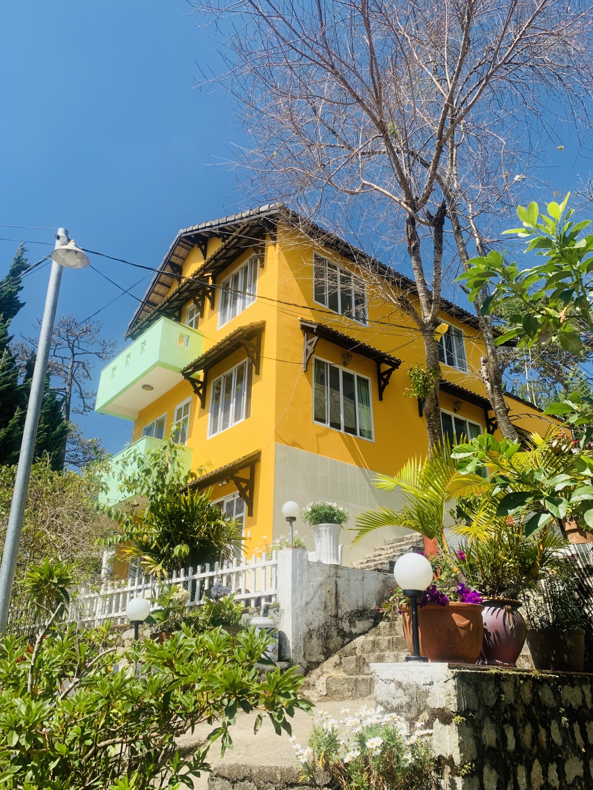 villa 5 phong hoang hoa tham