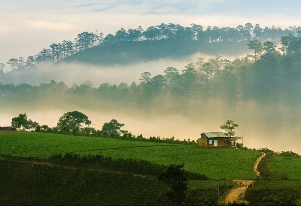 Săn mây Đà Lạt