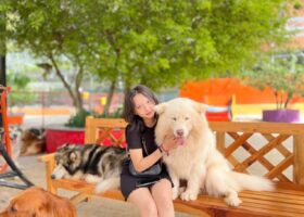 Vé Tham Quan Puppy Farm – Nông Trại Cún Hot Nhất Đà Lạt