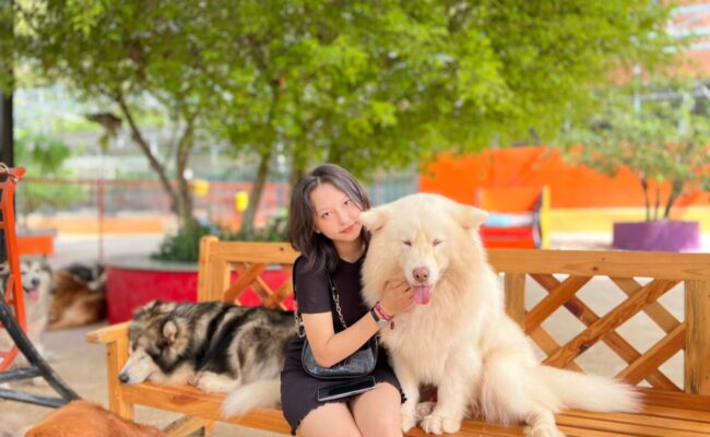 Vé Tham Quan Puppy Farm – Nông Trại Cún Hot Nhất Đà Lạt