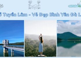 Hồ Tuyền Lâm – Vẻ Đẹp Bình Yên Đà Lạt