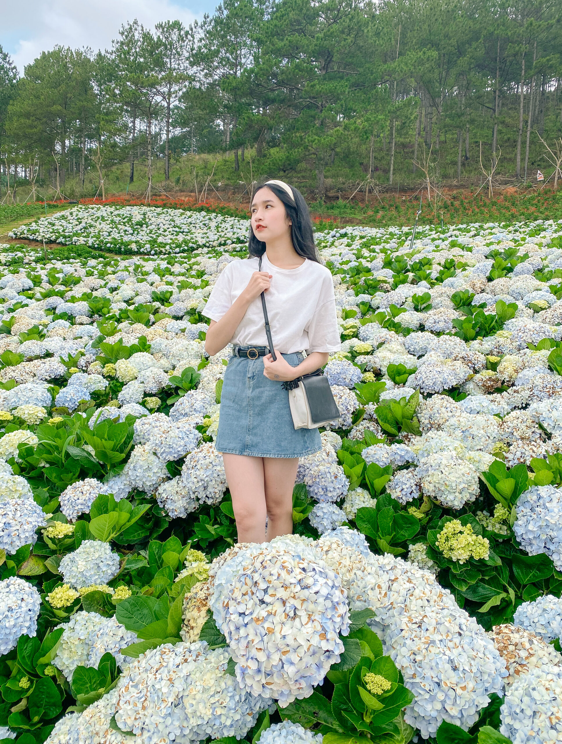 Hoa hậu Hà Kiều Anh diện váy thanh lịch dạo chơi chụp ảnh khám phá trang  trại trồng nho
