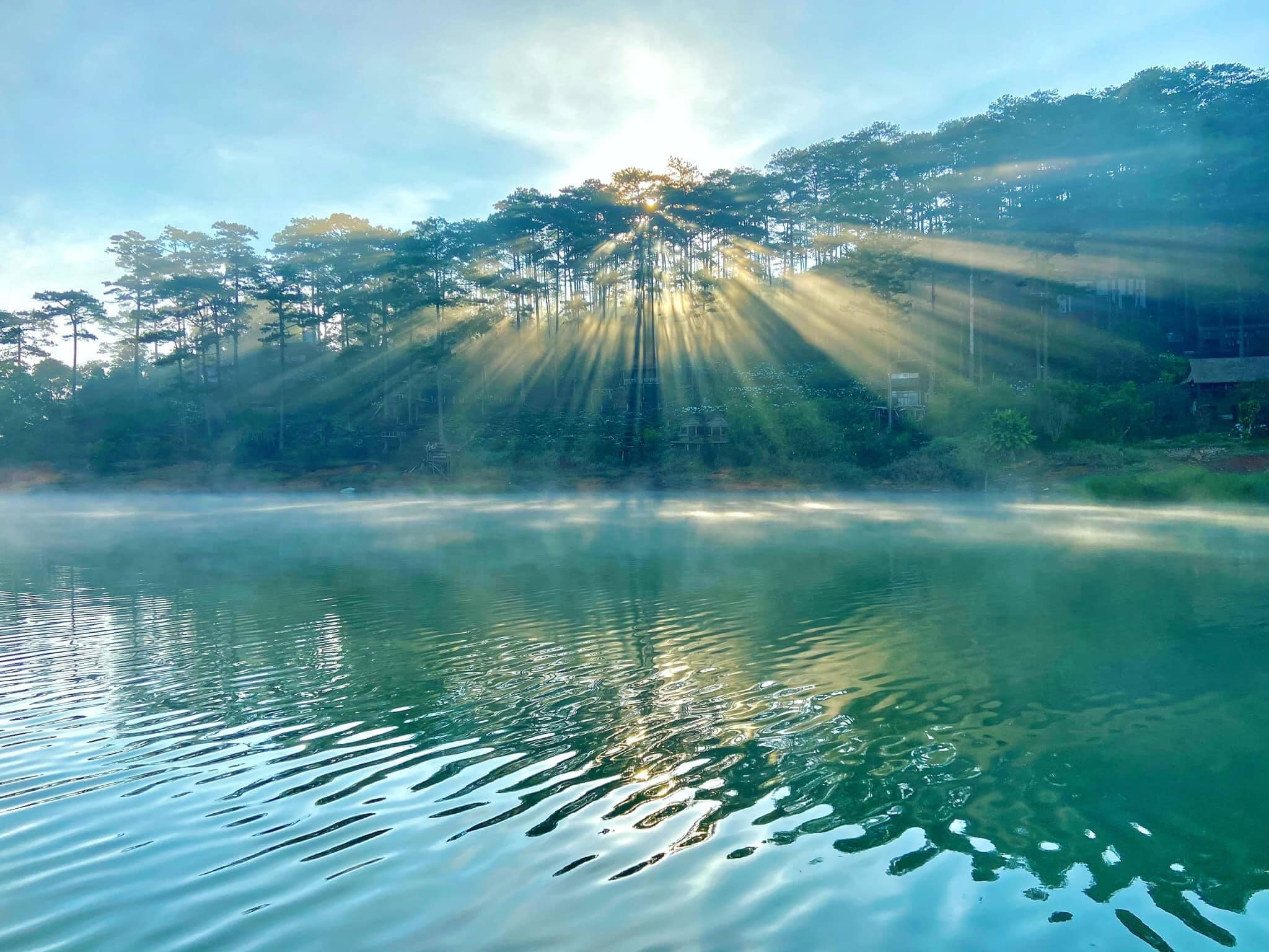 Hồ Tuyền Lâm - Vẻ Đẹp Bình Yên Đà Lạt