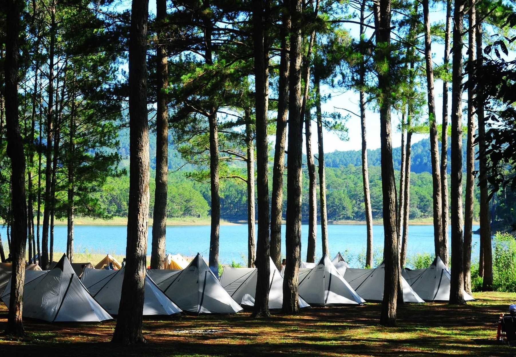 Top 6 địa điểm cắm trại Đà Lạt cực chill 2023