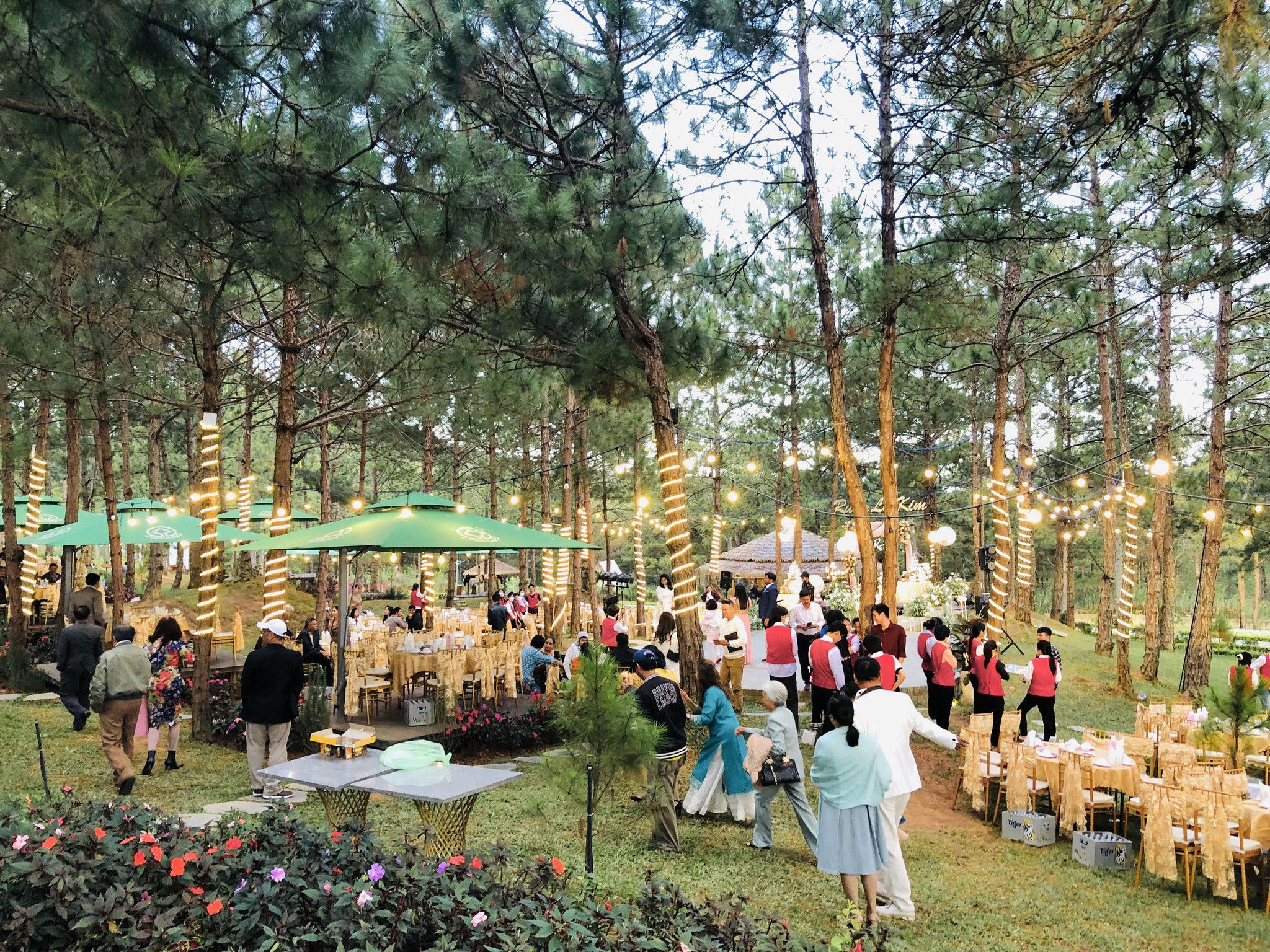 tổ chức tiệc ngoài trời tại Resort rừng lá kim