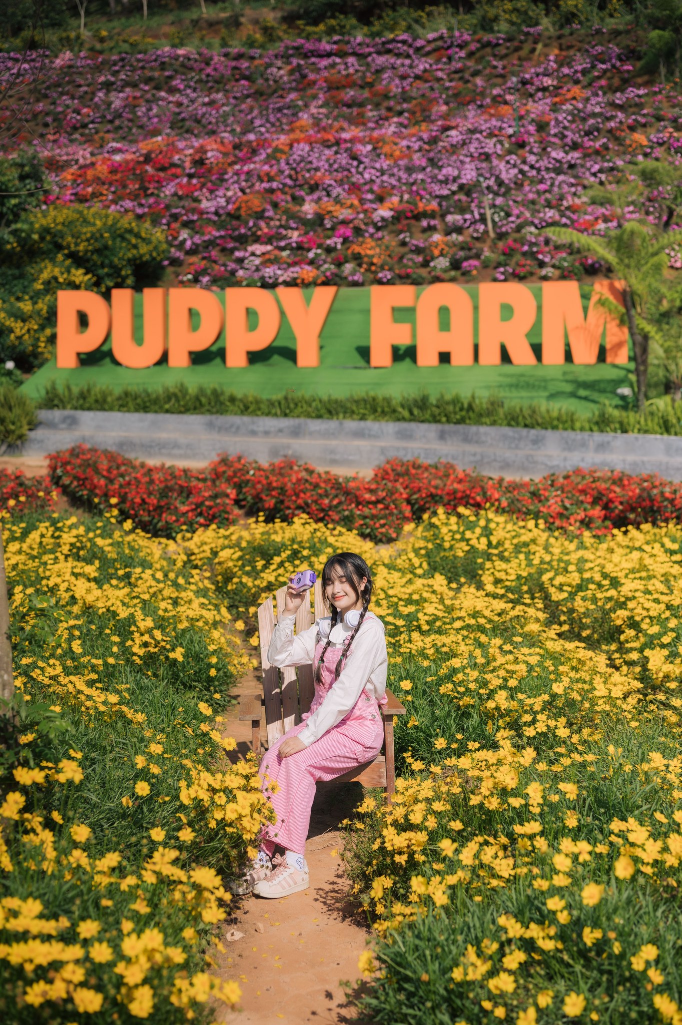 check in vườn hoa tại nông trại cún puppy farm