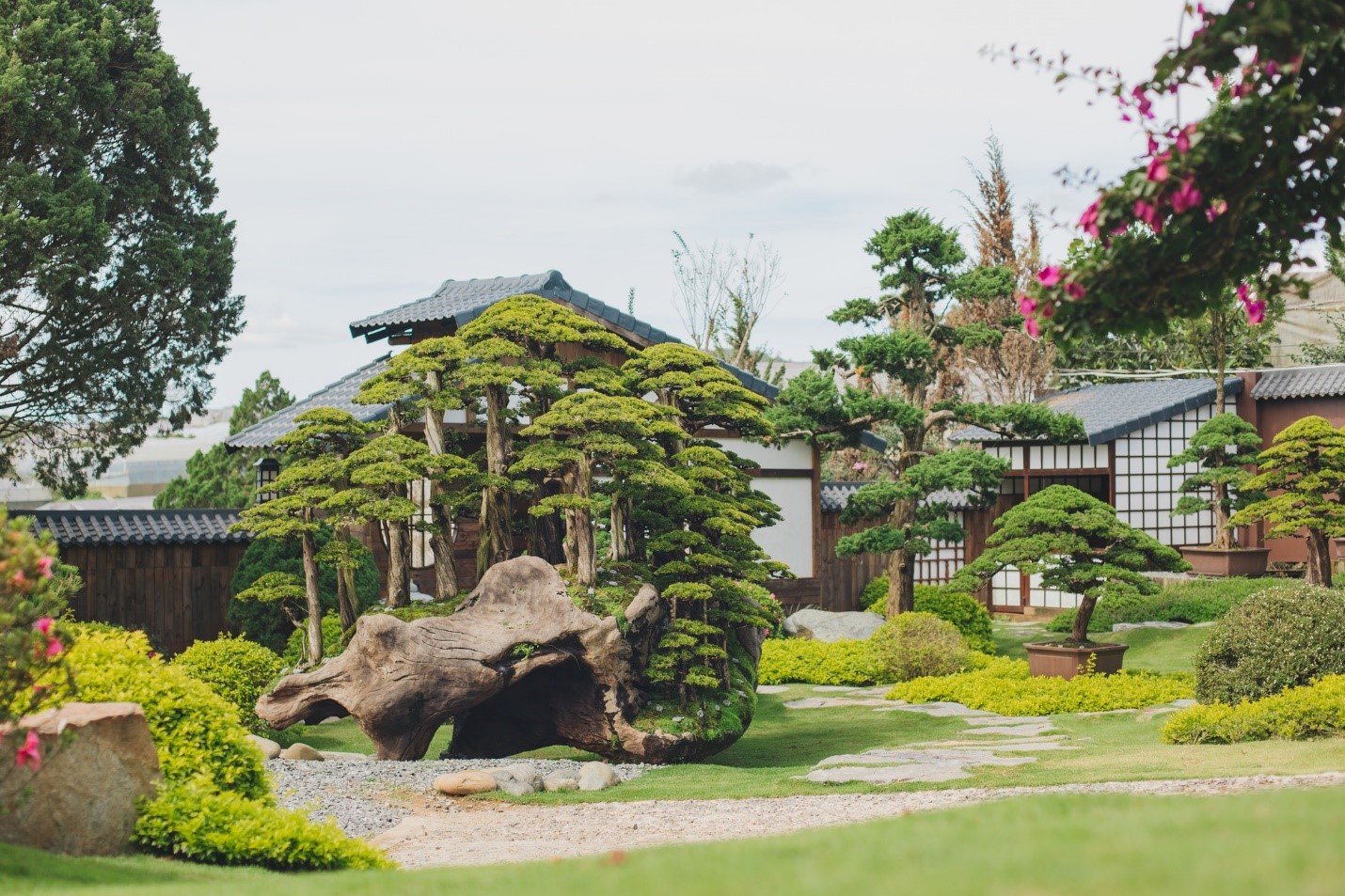 khu vườn bonsai quê garden