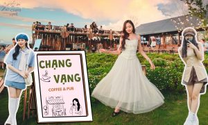 banner web chạng vạng