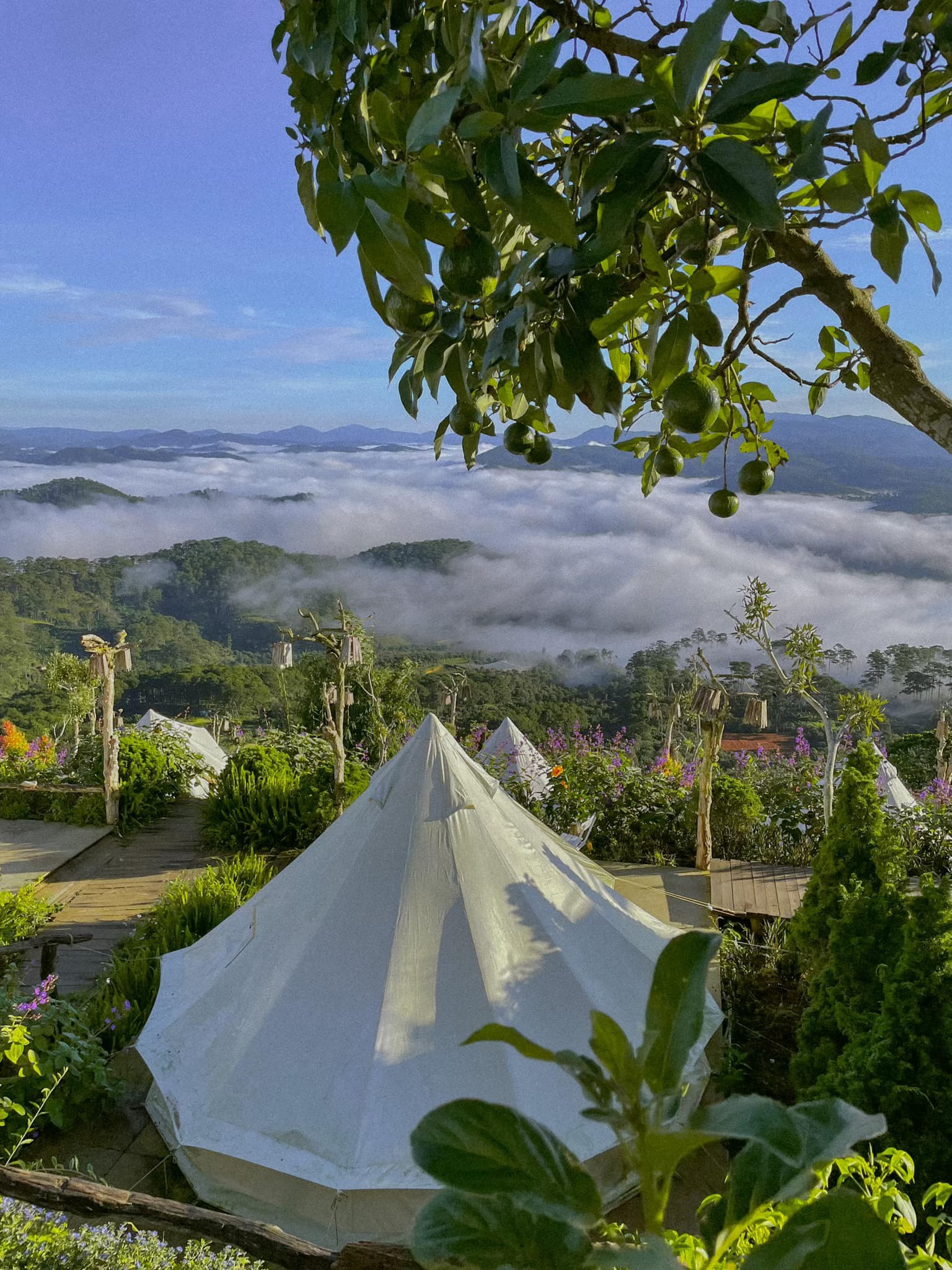 cloud9 glamping