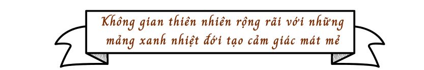 Không gian thiên nhiên rộng rãi với những mảng xanh nhiệt đới tạo cảm giác mát mẻ 