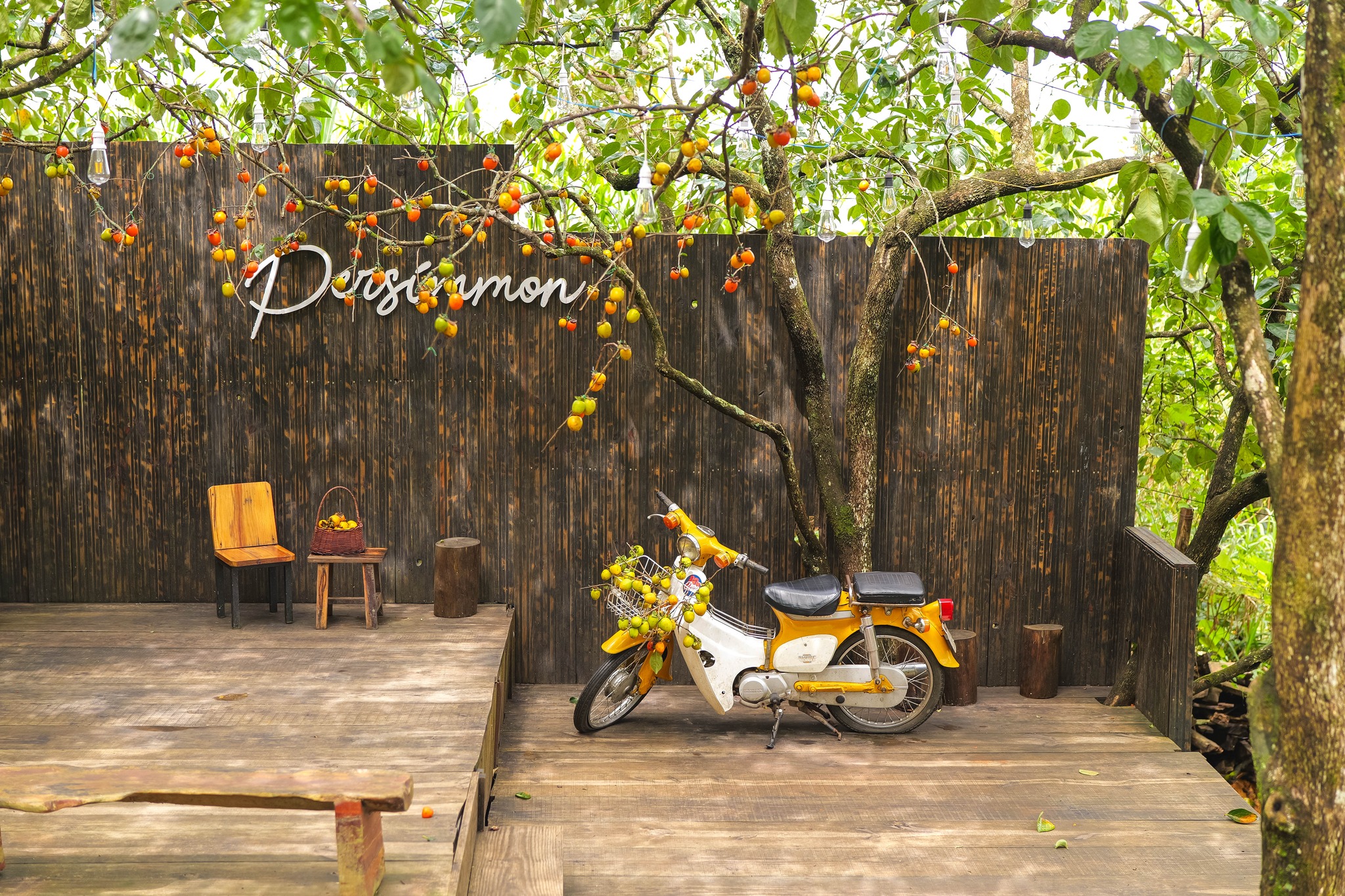 Persimmon cafe