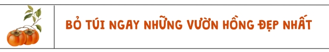 Bỏ túi ngay những vườn hồng đẹp nhất tại Đà Lạt 