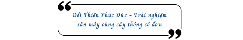 Đồi Thiên Phúc Đức - Trải nghiệm săn mây cùng cây thông cô đơn 