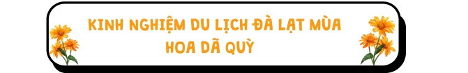 Kinh nghiệm du lịch mùa hoa dã quỳ