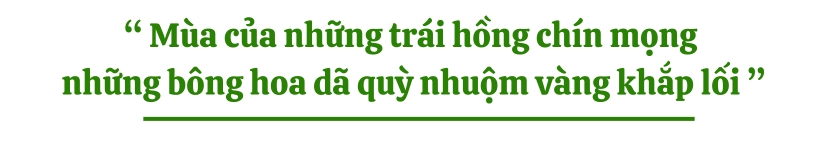 Mùa của những trái hồng chín mọng
 những bông hoa dã quỳ nhuộm vàng khắp lối