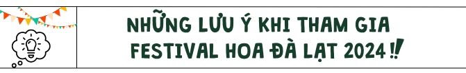 Những lưu ý khi tham gia Festival Hoa Đà Lạt