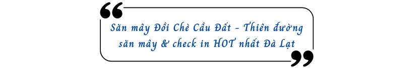 Săn mây Đồi Chè Cầu Đất -Thiên đường săn mây và check in HOT nhất Đà Lạt