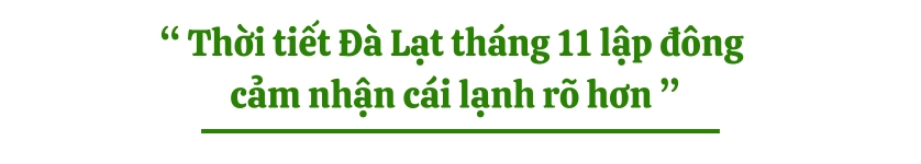 Thời tiết Đà Lạt tháng 11 lập đông cảm nhận cái lạnh rõ hơn