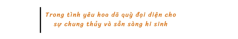 Trong tình yêu hoa dã quỳ đại diện cho sự chung thủy và sẵn sàng hi sinh