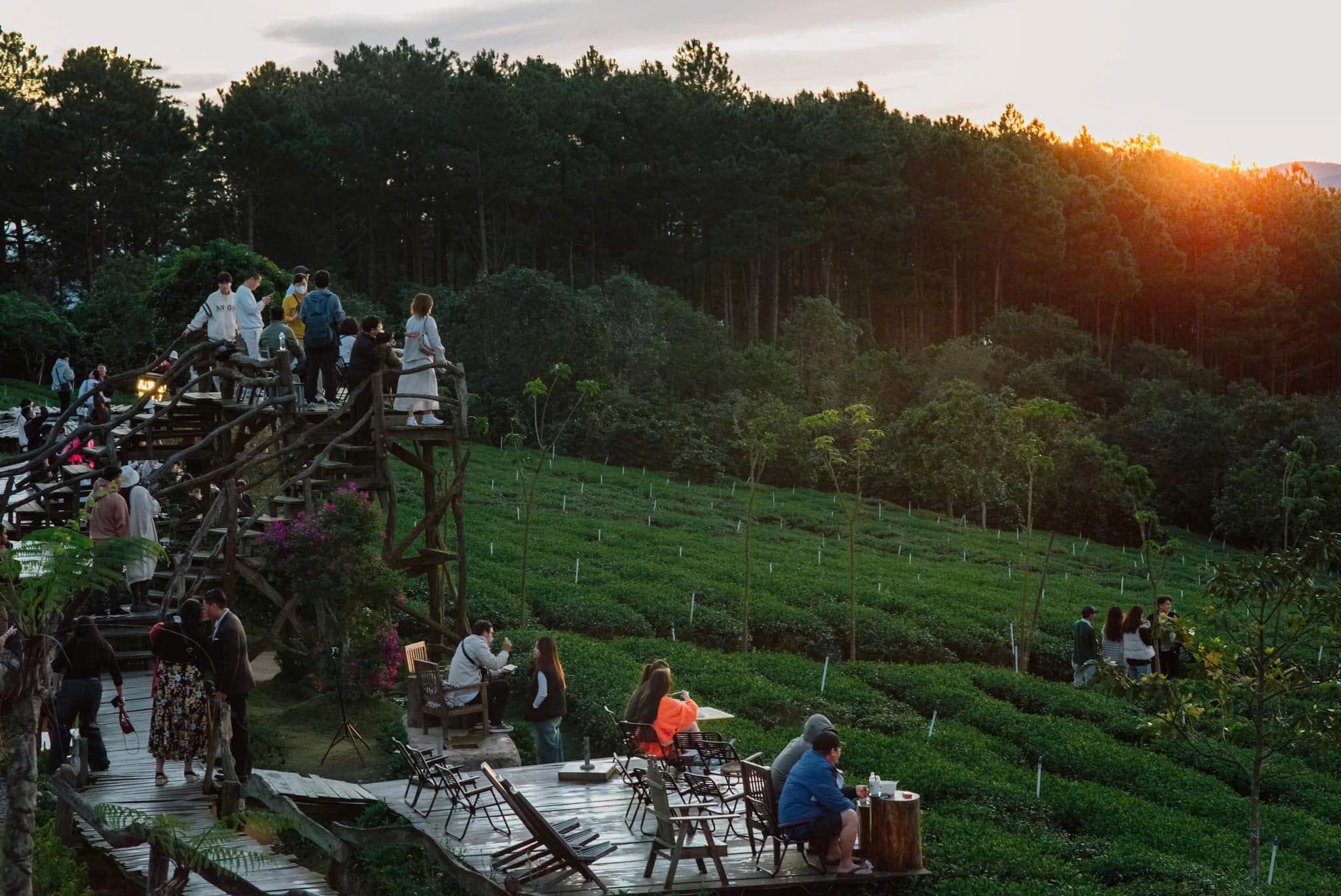 săn mây đồi chè cầu đất