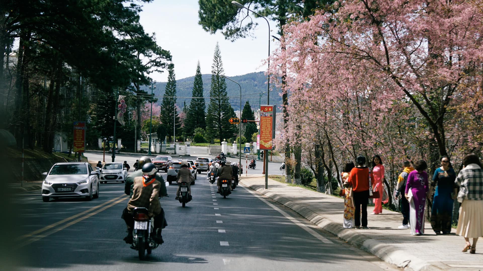 không khí đón năm mới tại đà lạt