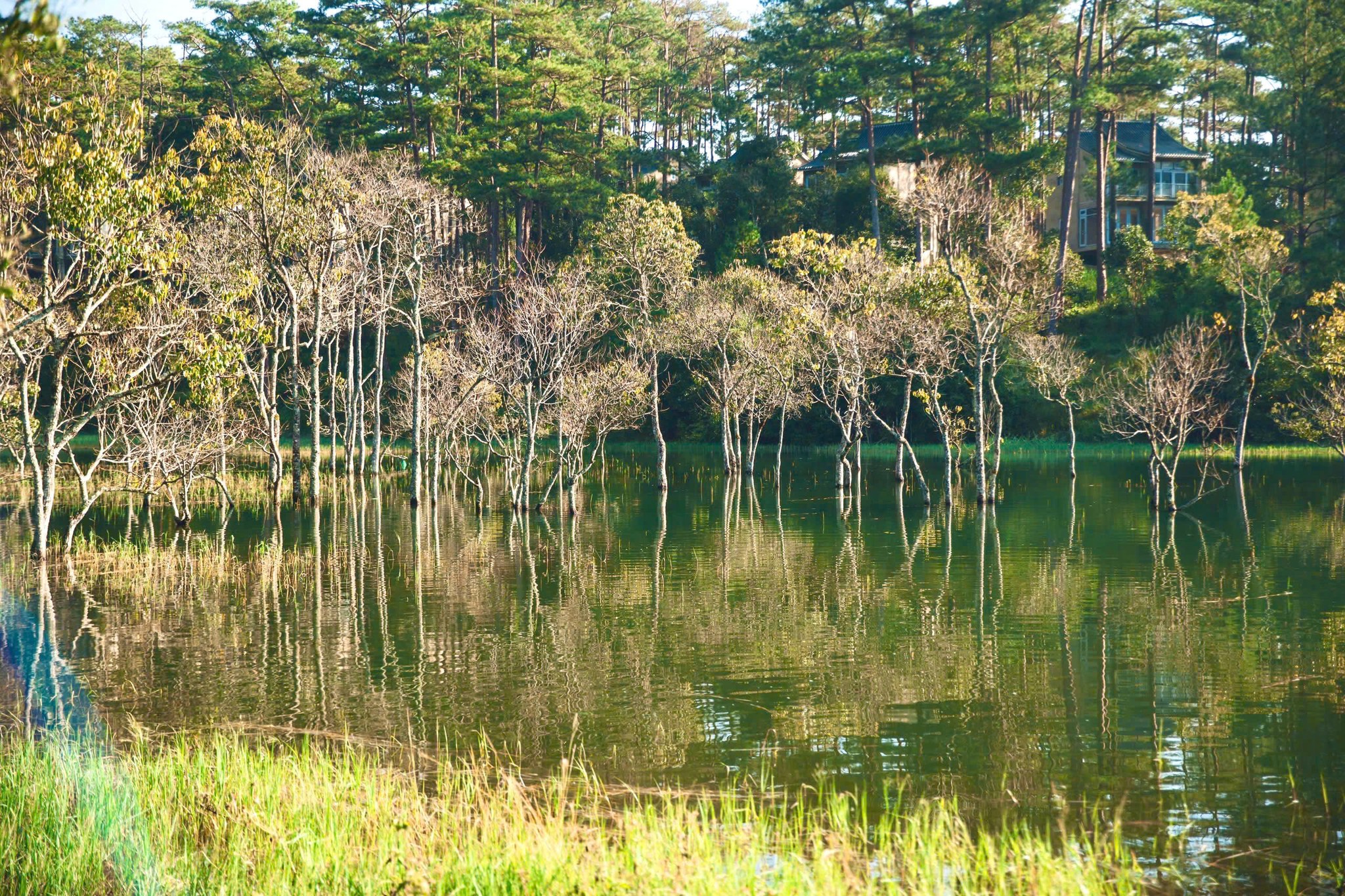 khung cảnh hồ tuyền lâm