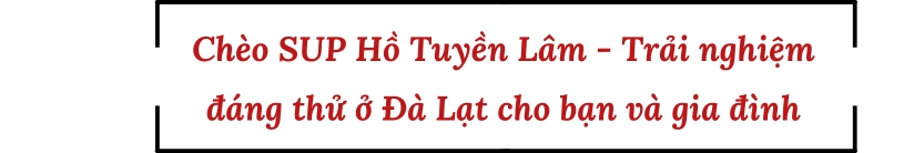 Chèo SUP Hồ Tuyền Lâm - Trải nghiệm đáng thử ở Đà Lạt cho bạn và gia đình