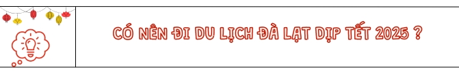 Có nên đi du lịch Đà Lạt dịp Tết 2025? 