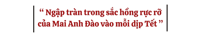 Ngập tràn trong sắc hồng rực rỡ của Mai Anh Đào vào mỗi dịp Tết