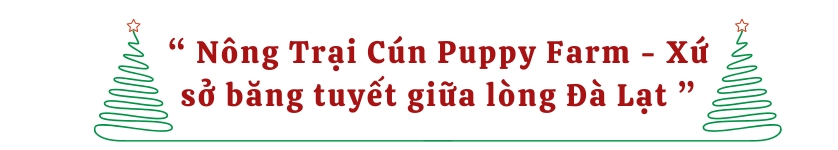 Nông Trại Cún Puppy Farm - Xứ sở băng tuyết giữa lòng Đà Lạt 