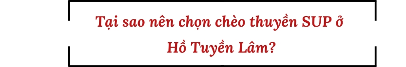 Tại sao nên chọn chèo thuyền SUP ở Hồ Tuyền Lâm?