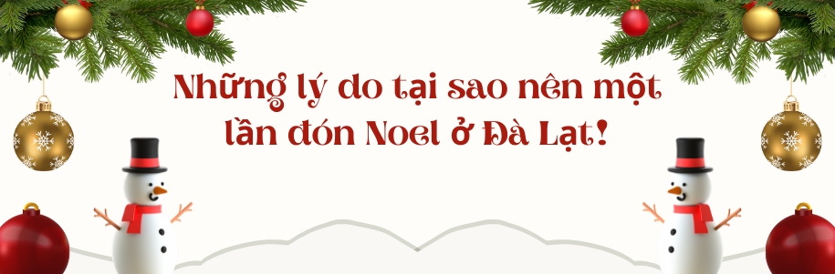 Những lý do tại sao nên một lần đón Noel ở Đà Lạt!