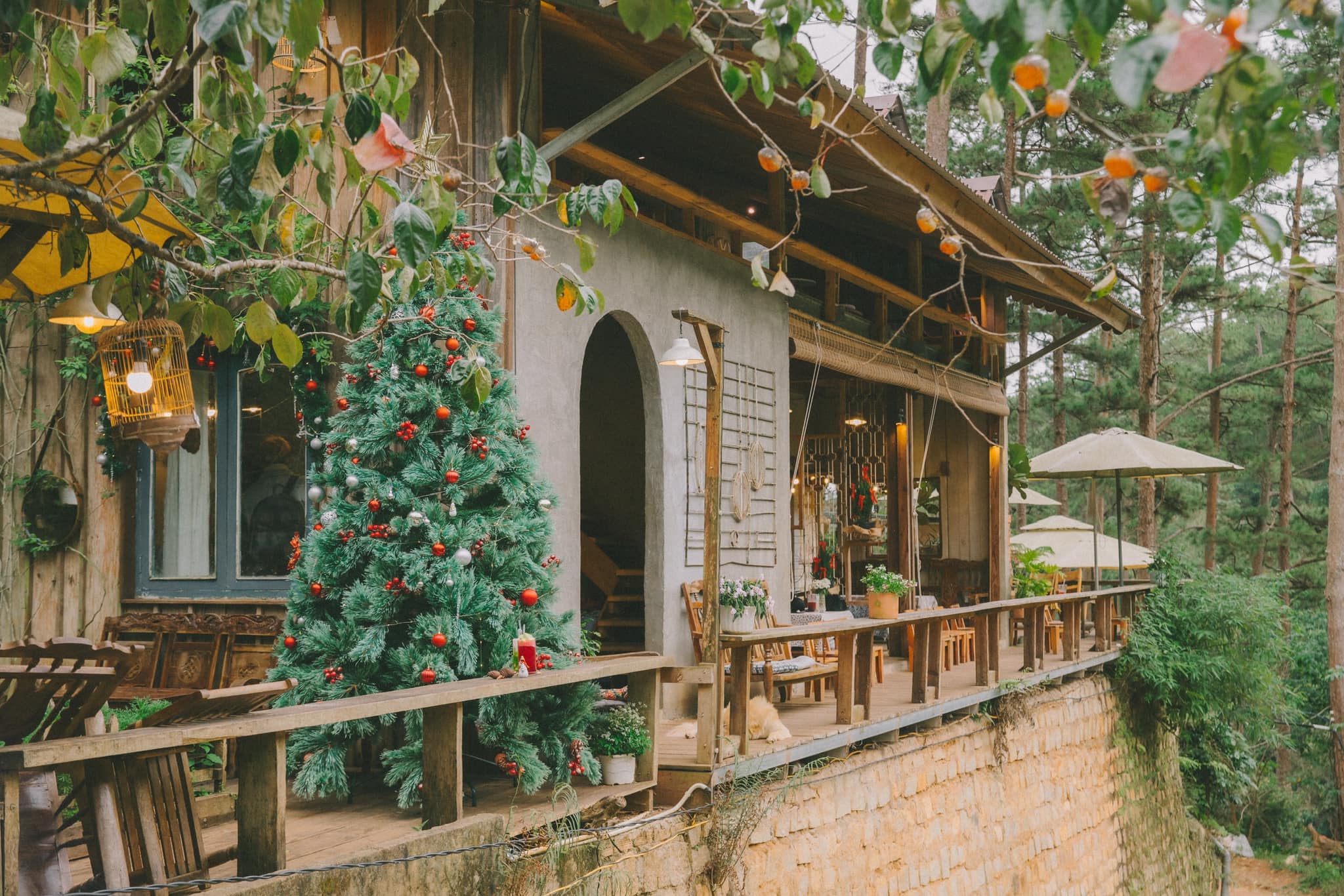 lưng chừng cafe