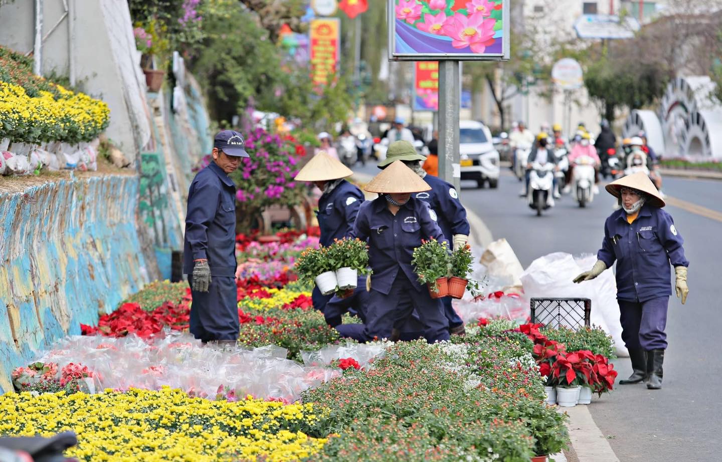 chuẩn bị tổ chức lễ hội festival hoa đà lạt 