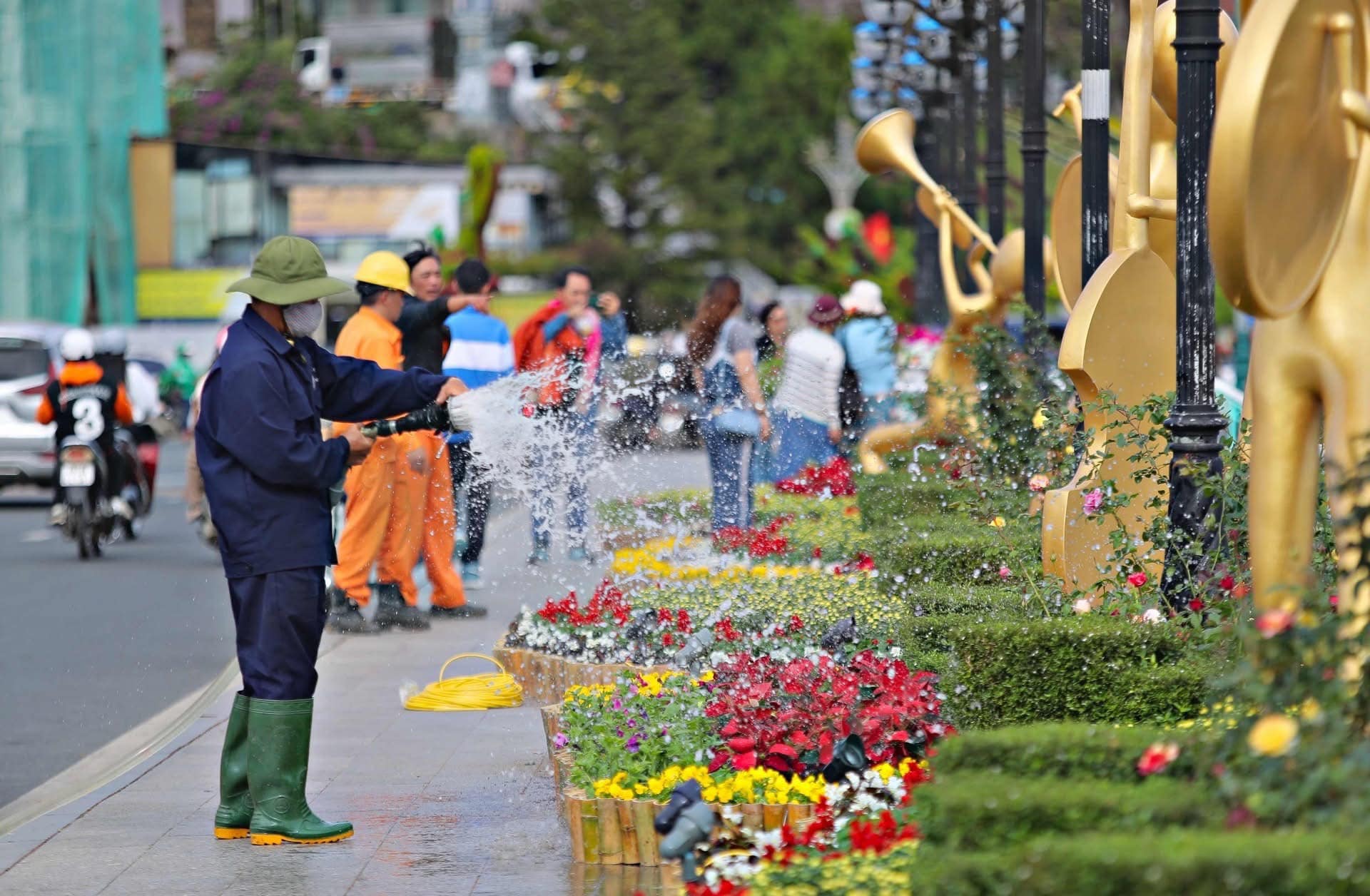 chuẩn bị tổ chức lễ hội festival hoa đà lạt