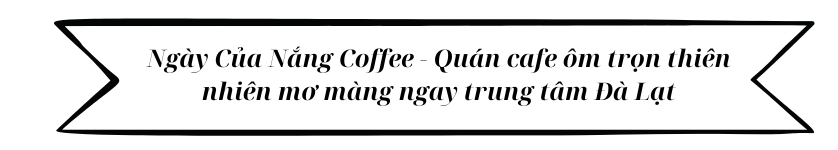 Ngày Của Nắng Coffee - Quán cafe ôm trọn thiên nhiên mơ màng ngay trung tâm Đà Lạt