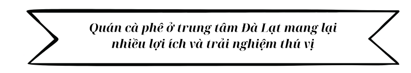 Quán cà phê ở trung tâm Đà Lạt mang lại nhiều lợi ích và trải nghiệm thú vị 