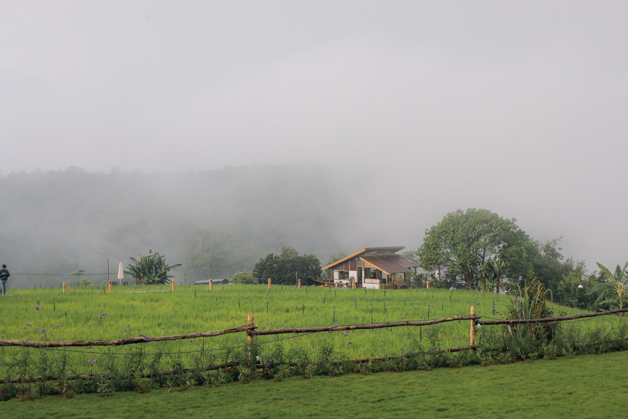 Hình ảnh Hidden Land Dalat 