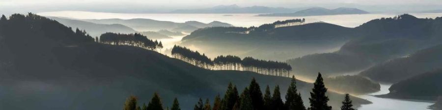banner-blog-content